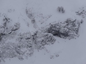 Bouquetins de Darbon