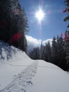 En route pour Tré le Saix