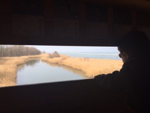 Réserve des Grangettes