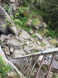 L'Echelle des Mémises