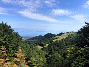 Vue sur le Léman du Forchat