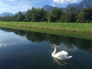 Les Grangettes - Suisse