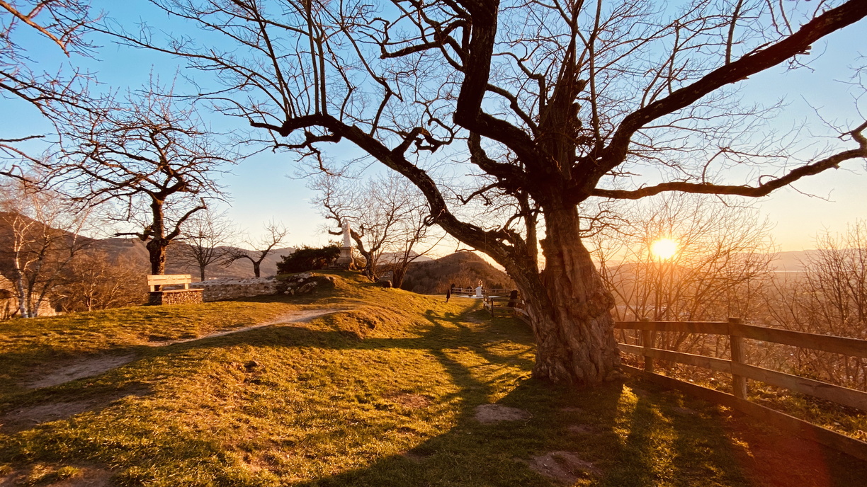 Soirée en Amoureux – Chateau d’Allinges – 022020