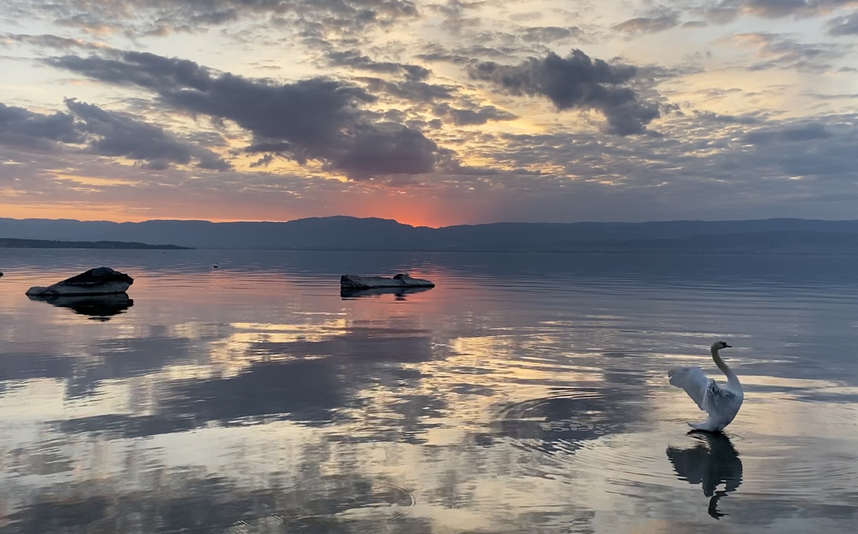 Coucher de soleil sur le Léman – 042020