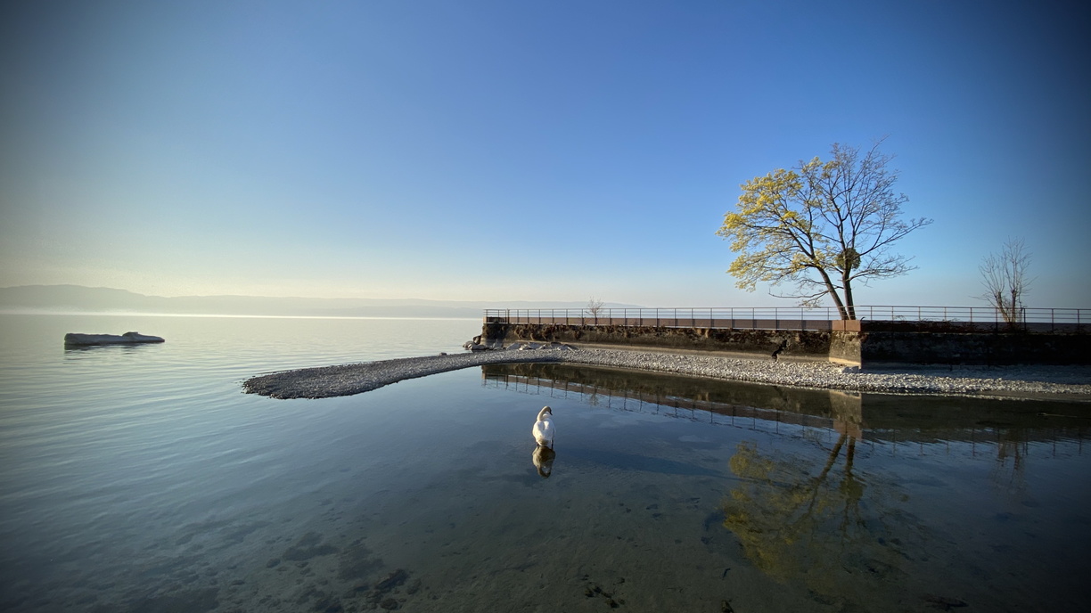 Méditation au bord du lac Léman – 032020