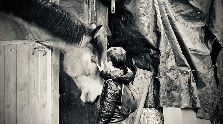 Balade à Toul – 082020