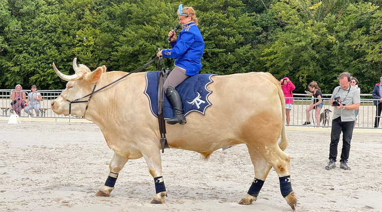 Spectable Equidanse au lac de Madine – 072021