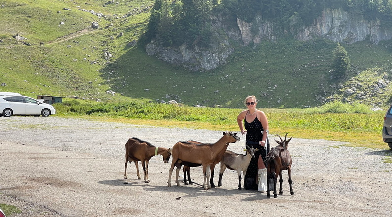 Dans la série Chèvre je veux Marie – 092021