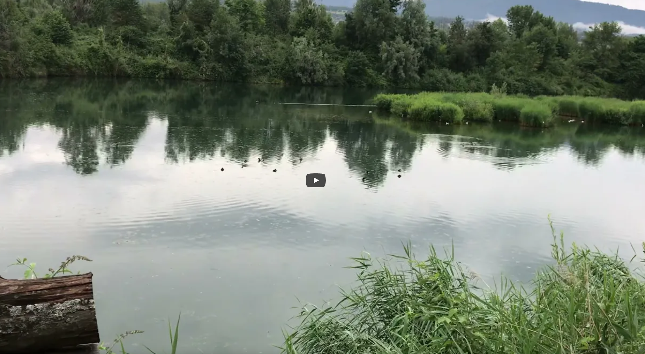 Le delta de la Dranse – Haute-Savoie – Raconté par Esteban – 072021