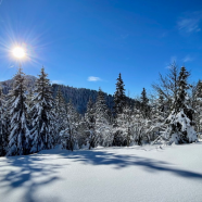 Les premières neiges à Thollon-les-Memises – 122021