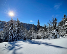 Les premières neiges à Thollon-les-Memises – 122021