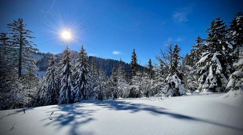 Les premières neiges à Thollon-les-Memises – 122021
