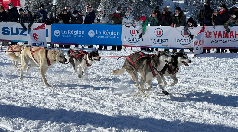 La Grande Odyssée – la course des chiens de Traineaux – 012022