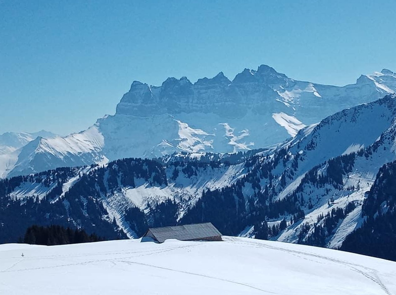Rencontre avec un jeune Gypaète – 032022