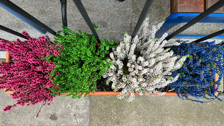 Reprise du vélo avec Esteban – 40 kms – 032022