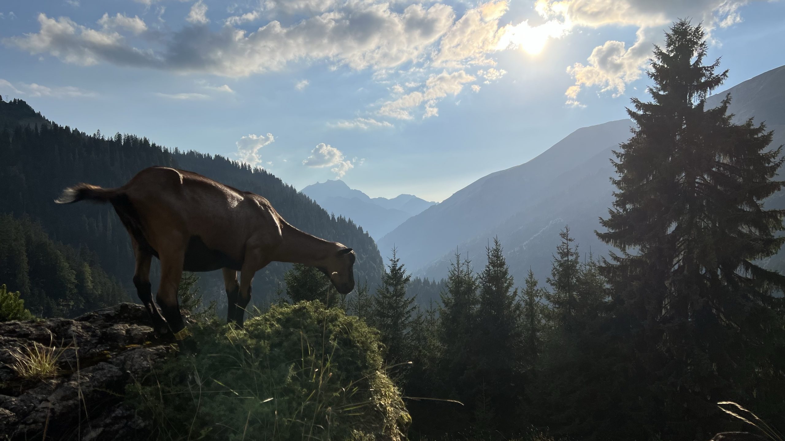 Montriond – Lindarets – 082022