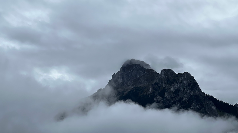 Démontagnée de Bernex – sous la flotte – 102022