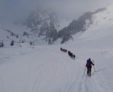 Roc Tavaneuse – 022013