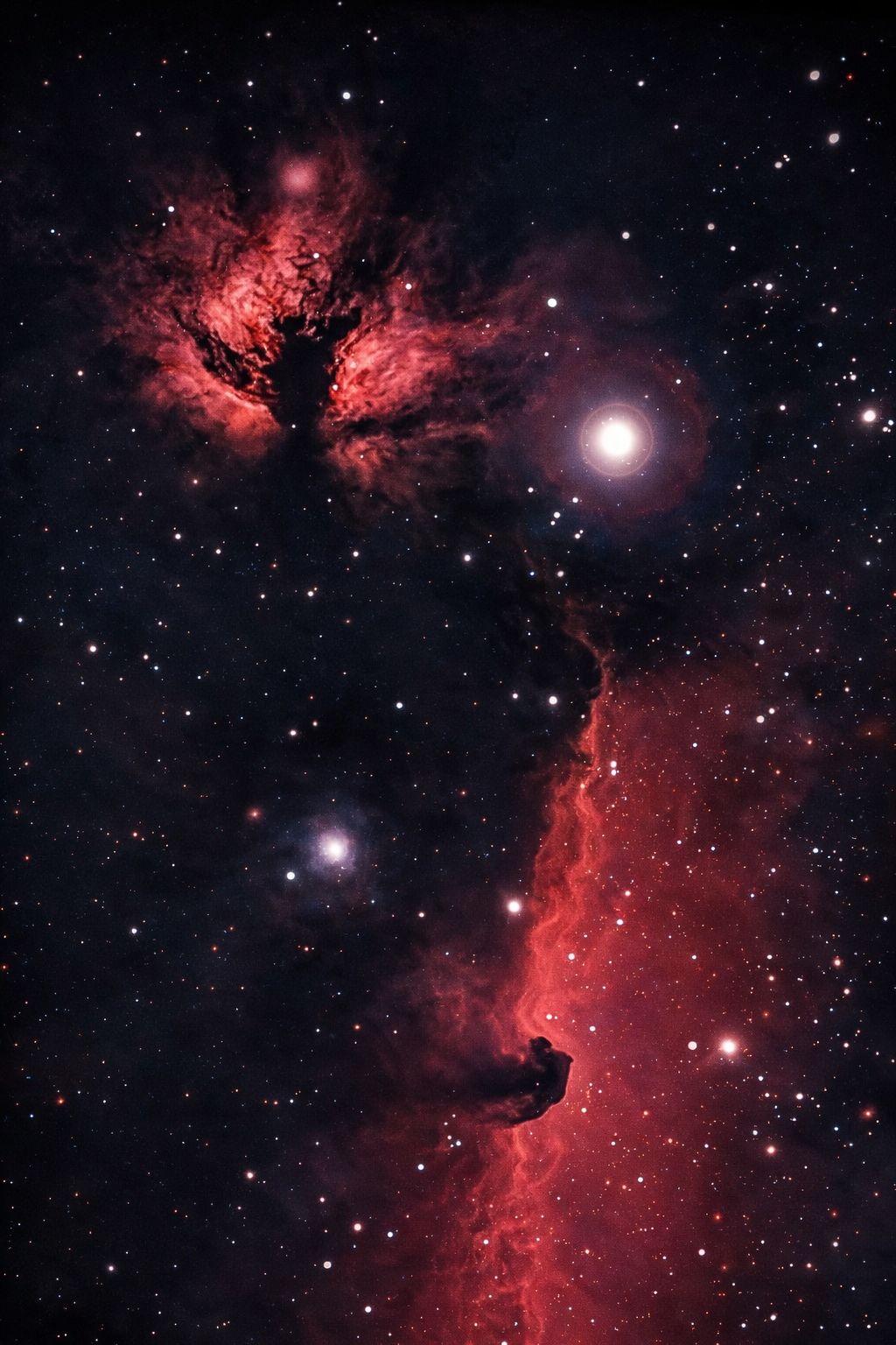 Astrophotos – 022026
