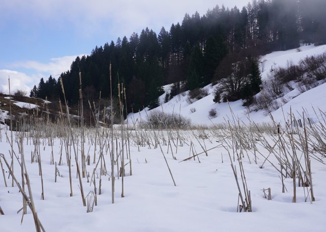 Mont Forchat – 032026