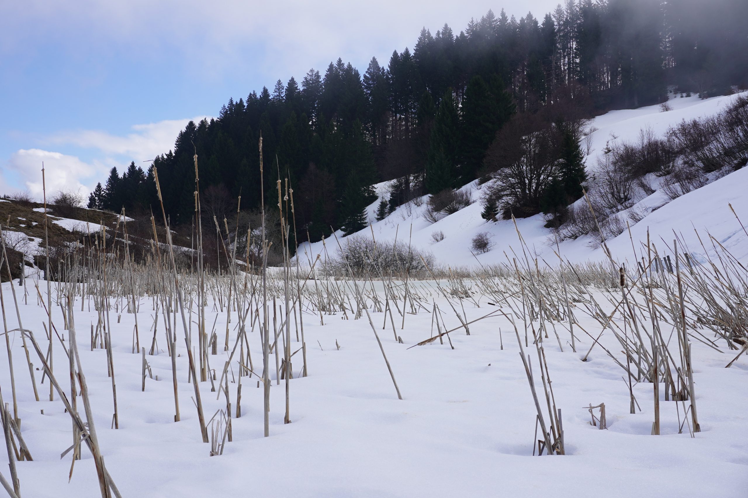 Mont Forchat – 032026
