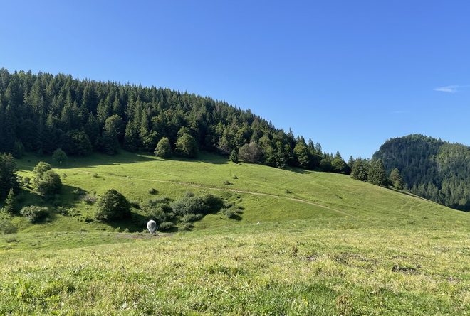 Mont Forchat – Steph – 062024