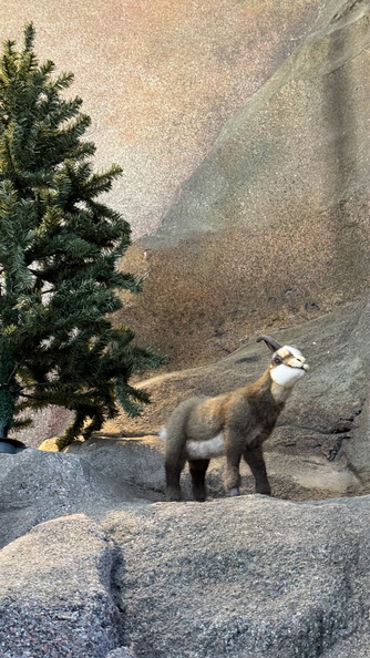 Aquarium – Lausanne – 102024