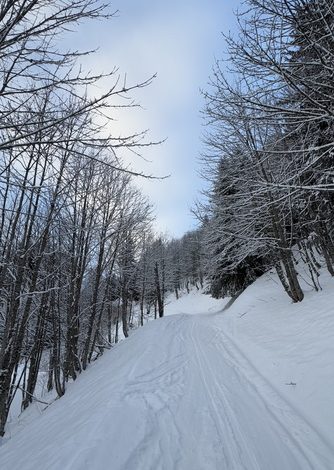 Col Ratti – Ski Rando – 122024