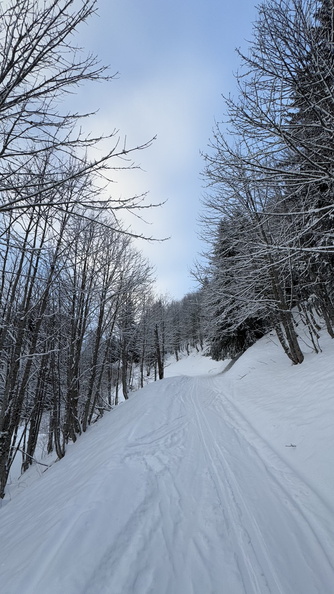 Col Ratti – Ski Rando – 122024