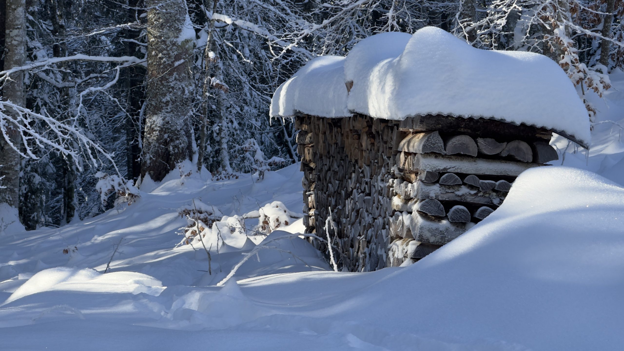 Ski St Jean Aulps – 122024