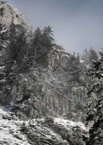 Ski Rando – Tour Darbon Bouaz – 012025