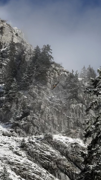 Ski Rando – Tour Darbon Bouaz – 012025