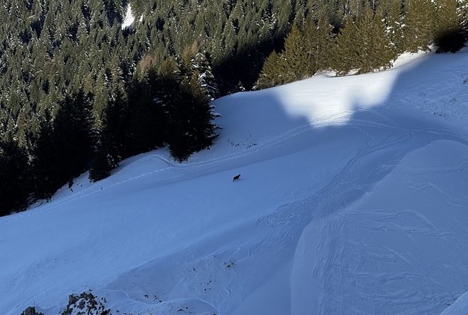Haute Pointe Ski Rando – 022025