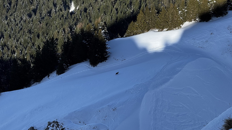 Haute Pointe Ski Rando – 022025