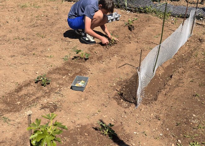 Jardinage – 042026