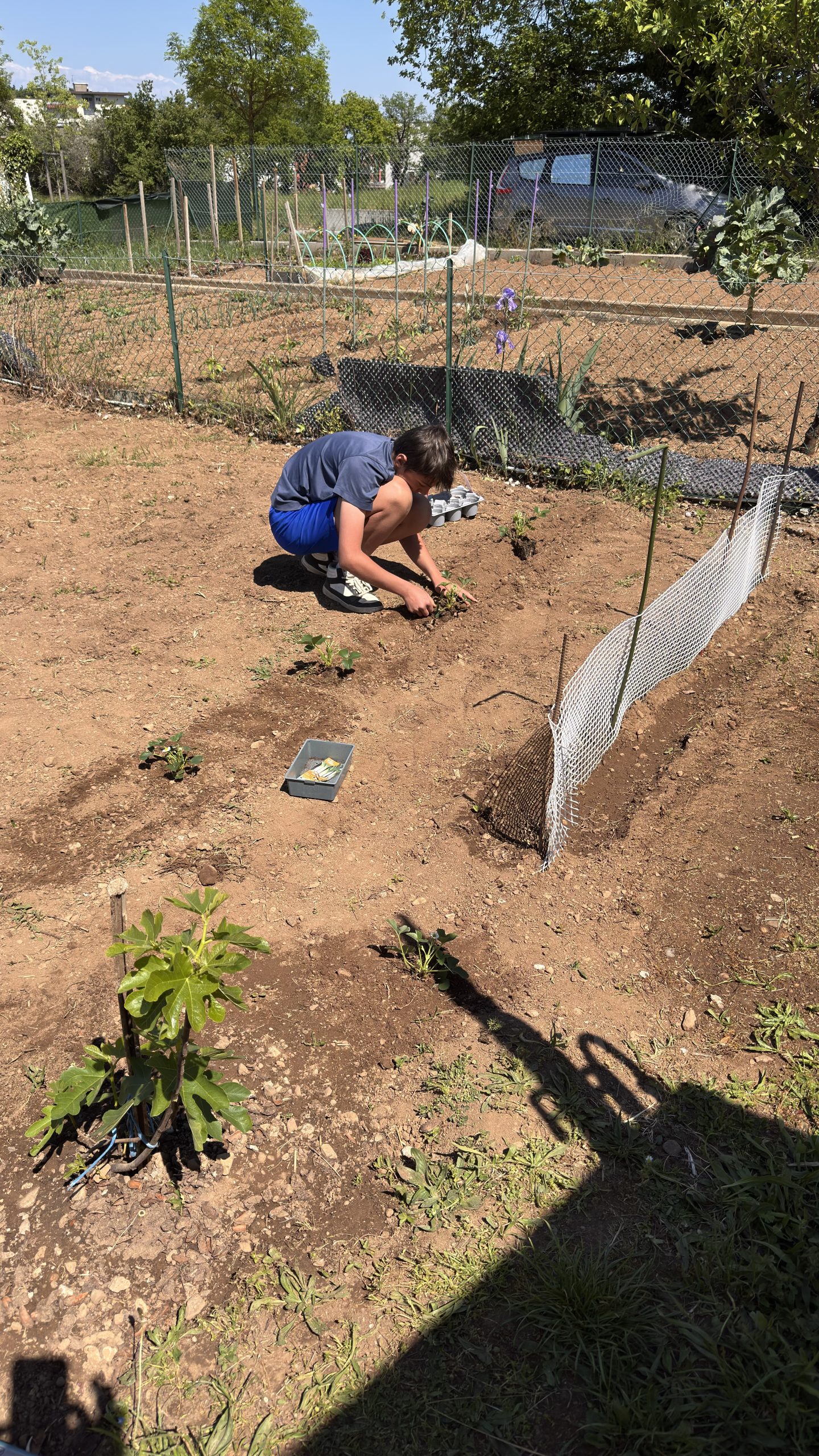 Jardinage – 042026
